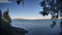 ./images/koeye/fitz-hugh/20260531/fitz-hugh20260531_065501M.jpg