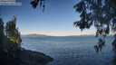 ./images/koeye/fitz-hugh/20260531/fitz-hugh20260531_070501M.jpg