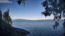 ./images/koeye/fitz-hugh/20260531/fitz-hugh20260531_071001M.jpg