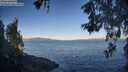 ./images/koeye/fitz-hugh/20260531/fitz-hugh20260531_071501M.jpg
