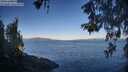 ./images/koeye/fitz-hugh/20260531/fitz-hugh20260531_072001M.jpg