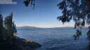 ./images/koeye/fitz-hugh/20260531/fitz-hugh20260531_073001M.jpg