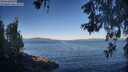 ./images/koeye/fitz-hugh/20260531/fitz-hugh20260531_073501M.jpg