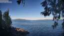 ./images/koeye/fitz-hugh/20260531/fitz-hugh20260531_074001M.jpg
