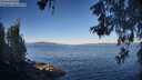 ./images/koeye/fitz-hugh/20260531/fitz-hugh20260531_074501M.jpg