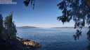 ./images/koeye/fitz-hugh/20260531/fitz-hugh20260531_075501M.jpg