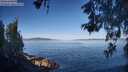 ./images/koeye/fitz-hugh/20260531/fitz-hugh20260531_080001M.jpg
