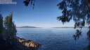 ./images/koeye/fitz-hugh/20260531/fitz-hugh20260531_080501M.jpg