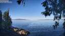 ./images/koeye/fitz-hugh/20260531/fitz-hugh20260531_081001M.jpg