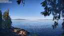 ./images/koeye/fitz-hugh/20260531/fitz-hugh20260531_082001M.jpg