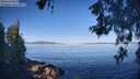 ./images/koeye/fitz-hugh/20260531/fitz-hugh20260531_082501M.jpg