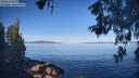 ./images/koeye/fitz-hugh/20260531/fitz-hugh20260531_083002M.jpg