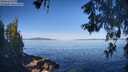 ./images/koeye/fitz-hugh/20260531/fitz-hugh20260531_083501M.jpg