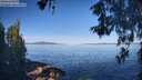 ./images/koeye/fitz-hugh/20260531/fitz-hugh20260531_084001M.jpg