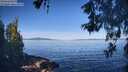 ./images/koeye/fitz-hugh/20260531/fitz-hugh20260531_085001M.jpg