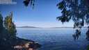 ./images/koeye/fitz-hugh/20260531/fitz-hugh20260531_085501M.jpg