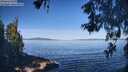 ./images/koeye/fitz-hugh/20260531/fitz-hugh20260531_091001M.jpg