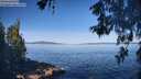 ./images/koeye/fitz-hugh/20260531/fitz-hugh20260531_091501M.jpg