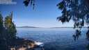 ./images/koeye/fitz-hugh/20260531/fitz-hugh20260531_092002M.jpg