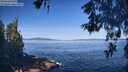 ./images/koeye/fitz-hugh/20260531/fitz-hugh20260531_092501M.jpg