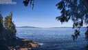 ./images/koeye/fitz-hugh/20260531/fitz-hugh20260531_093001M.jpg
