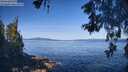 ./images/koeye/fitz-hugh/20260531/fitz-hugh20260531_093501M.jpg