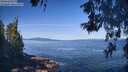 ./images/koeye/fitz-hugh/20260531/fitz-hugh20260531_094001M.jpg