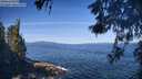./images/koeye/fitz-hugh/20260531/fitz-hugh20260531_095002M.jpg