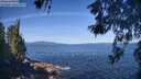 ./images/koeye/fitz-hugh/20260531/fitz-hugh20260531_100002M.jpg