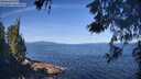./images/koeye/fitz-hugh/20260531/fitz-hugh20260531_100501M.jpg