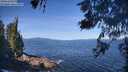 ./images/koeye/fitz-hugh/20260531/fitz-hugh20260531_101501M.jpg