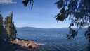 ./images/koeye/fitz-hugh/20260531/fitz-hugh20260531_102002M.jpg