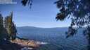 ./images/koeye/fitz-hugh/20260531/fitz-hugh20260531_102501M.jpg