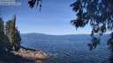 ./images/koeye/fitz-hugh/20260531/fitz-hugh20260531_103002M.jpg