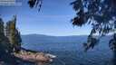./images/koeye/fitz-hugh/20260531/fitz-hugh20260531_103501M.jpg