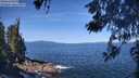 ./images/koeye/fitz-hugh/20260531/fitz-hugh20260531_104001M.jpg