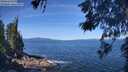 ./images/koeye/fitz-hugh/20260531/fitz-hugh20260531_104502M.jpg
