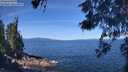 ./images/koeye/fitz-hugh/20260531/fitz-hugh20260531_105001M.jpg