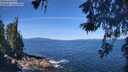 ./images/koeye/fitz-hugh/20260531/fitz-hugh20260531_105501M.jpg