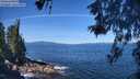 ./images/koeye/fitz-hugh/20260531/fitz-hugh20260531_110001M.jpg