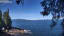 ./images/koeye/fitz-hugh/20260531/fitz-hugh20260531_111001M.jpg