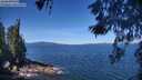 ./images/koeye/fitz-hugh/20260531/fitz-hugh20260531_111502M.jpg