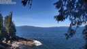 ./images/koeye/fitz-hugh/20260531/fitz-hugh20260531_112501M.jpg