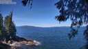 ./images/koeye/fitz-hugh/20260531/fitz-hugh20260531_113501M.jpg
