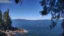 ./images/koeye/fitz-hugh/20260531/fitz-hugh20260531_114501M.jpg