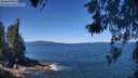 ./images/koeye/fitz-hugh/20260531/fitz-hugh20260531_115001M.jpg