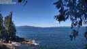 ./images/koeye/fitz-hugh/20260531/fitz-hugh20260531_115501M.jpg