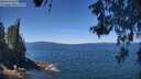 ./images/koeye/fitz-hugh/20260531/fitz-hugh20260531_122002M.jpg