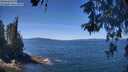 ./images/koeye/fitz-hugh/20260531/fitz-hugh20260531_123502M.jpg