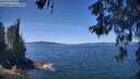 ./images/koeye/fitz-hugh/20260531/fitz-hugh20260531_124501M.jpg